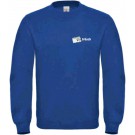 color:royal